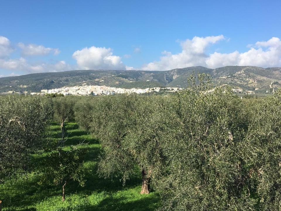 Casa Maresole Villa Mattinata Dış mekan fotoğraf